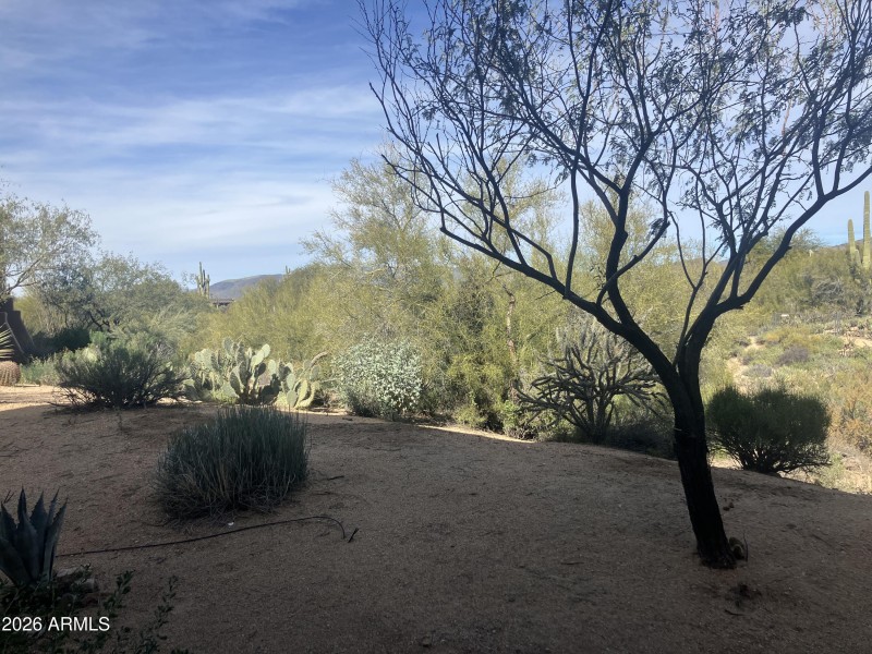 View from Living Room