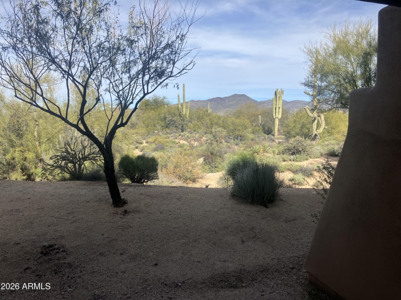 View from Living Room