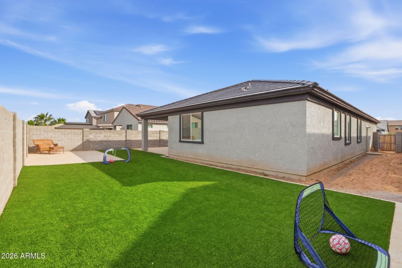 Low-Maintenance Turf Backyard