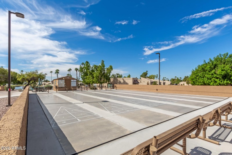 28 - Ocotillo