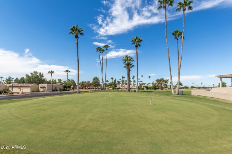 46 - Ocotillo