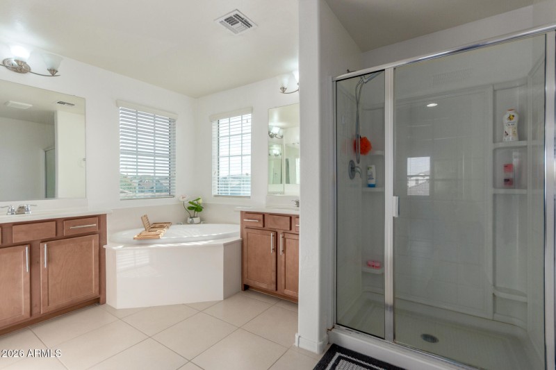 10162 E THEOREM DR- Primary Bathroom