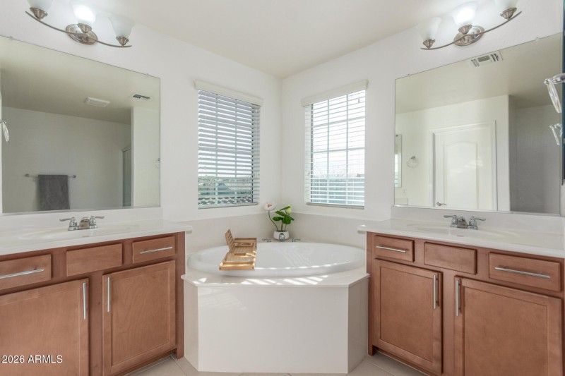 10162 E THEOREM DR- Primary Bathroom