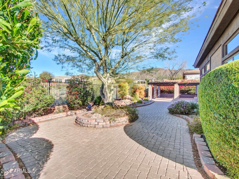 17-Backyard-(6)