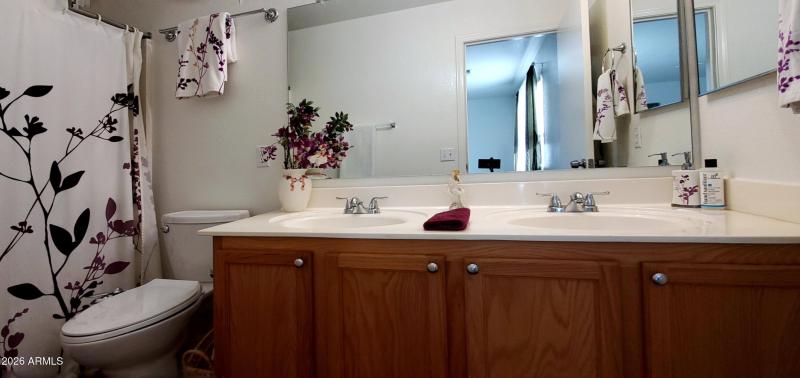 941 E Desert Moon Trl, STV - Master Bath