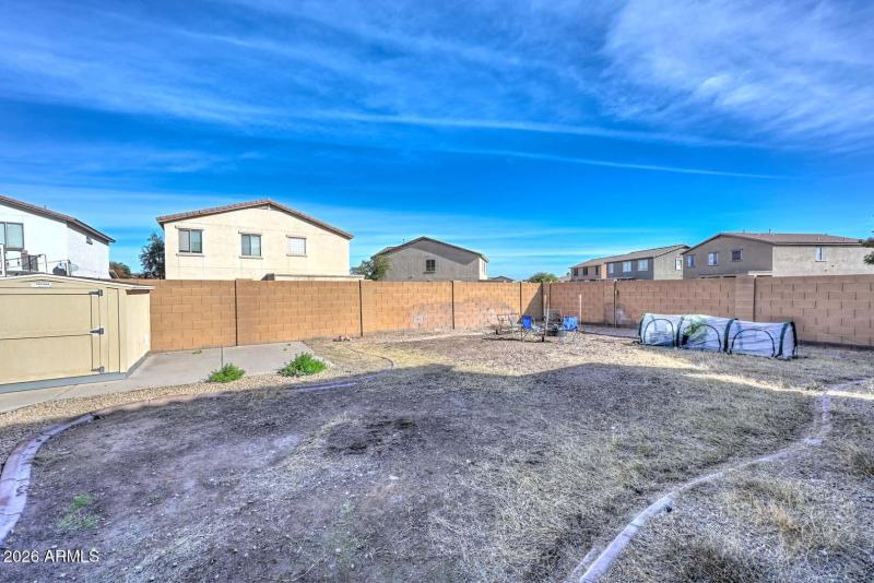 Backyard2