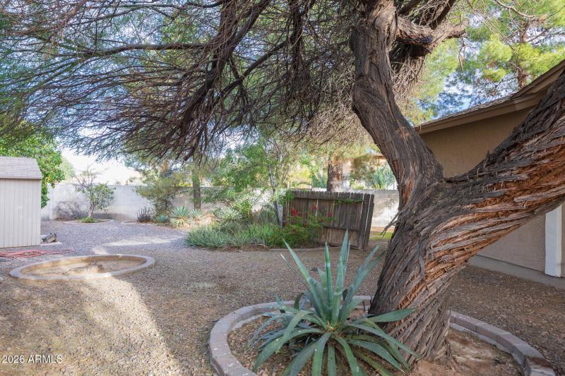 1262 E Crown - Side Yard