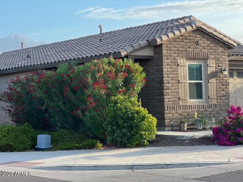 Front House with Florals