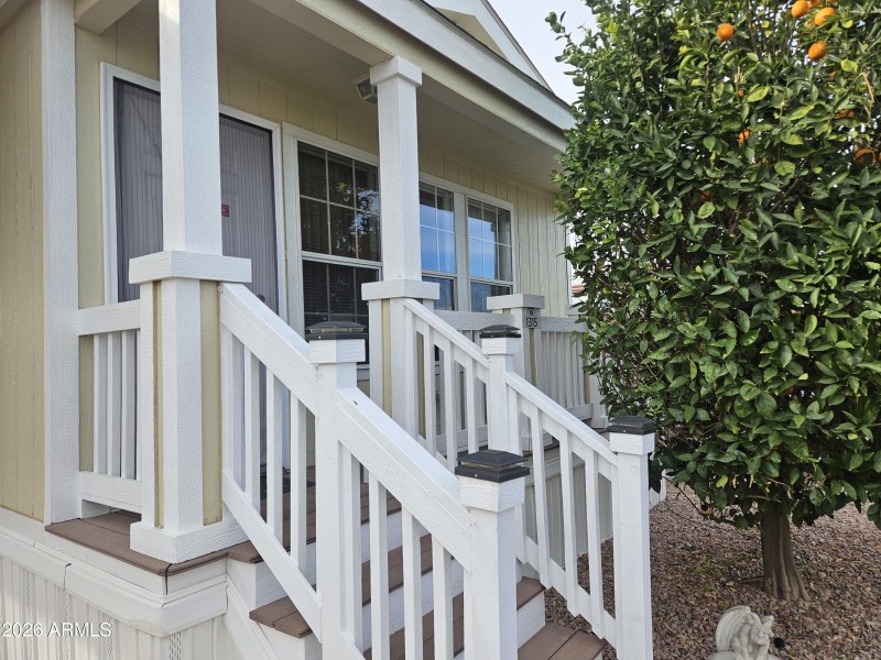 20260129_101513 - Copy