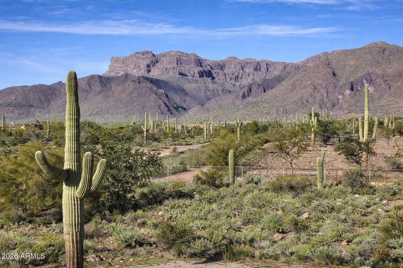 View from Your New Home