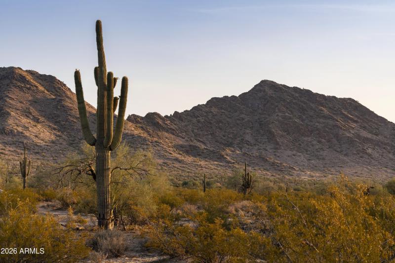 AZ_Ladera Trails_Community Views_9_CC_RG