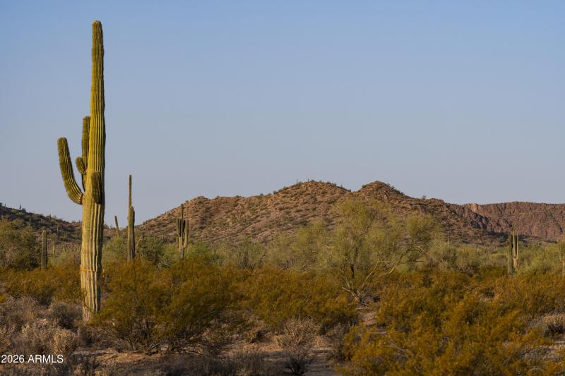 AZ_Ladera Trails_Community Views_10