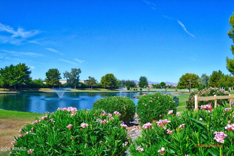 JSVlakewflowerscwb
