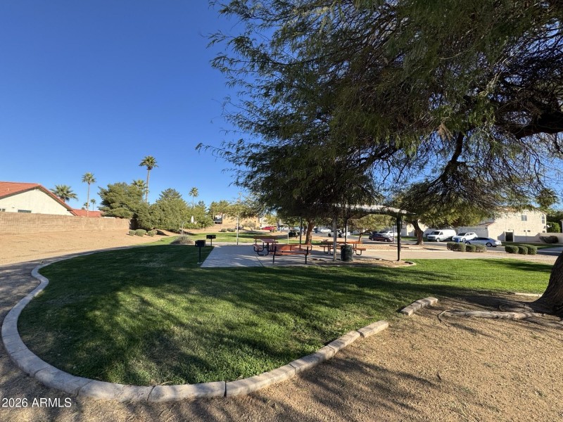 Shaded park ideal for quiet moments