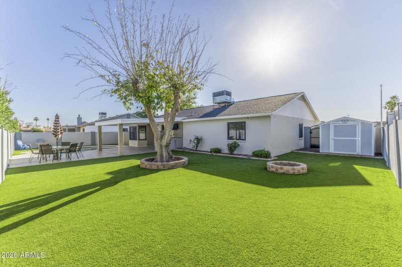 Backyard – Turf lawn with shade tree