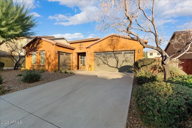 07-DesertSkyREM - 31682 N 131st Ave Peor