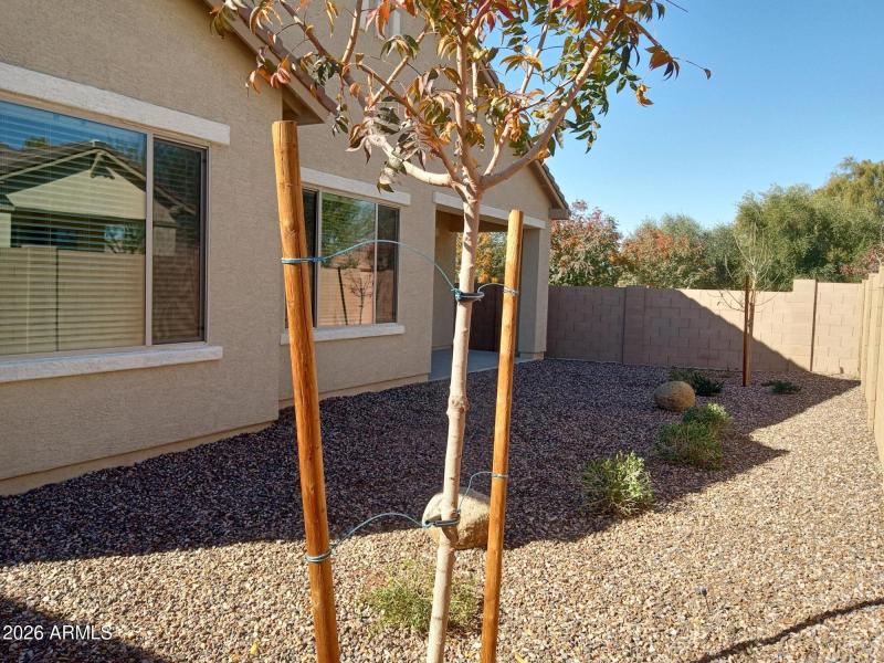 Backyard Landscaping Included