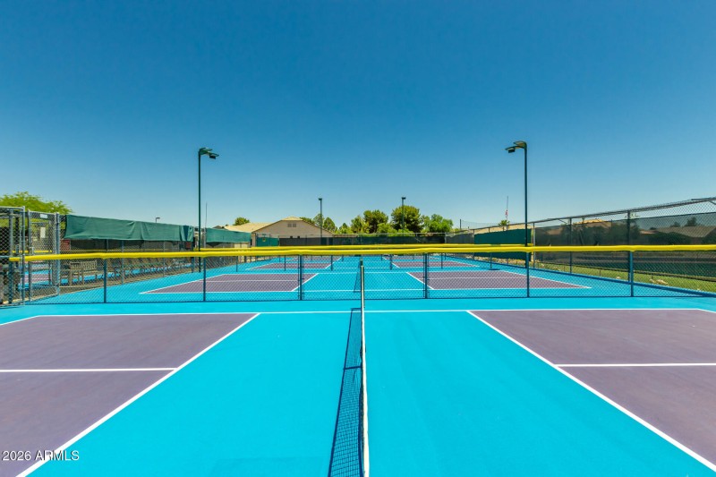 AZ Traditions Pickle ball