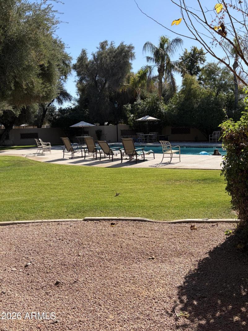 Community pool