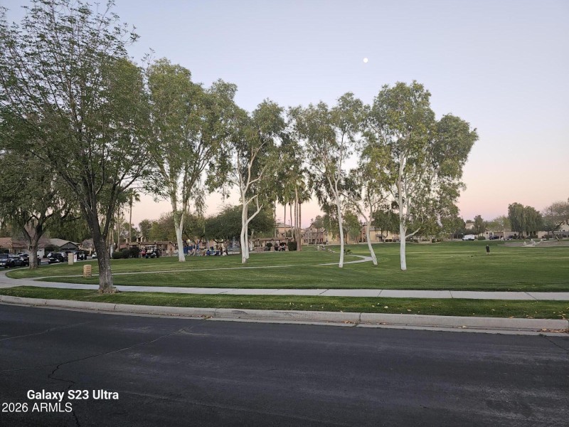 LUSH& GREEN PARK T/O COMM.