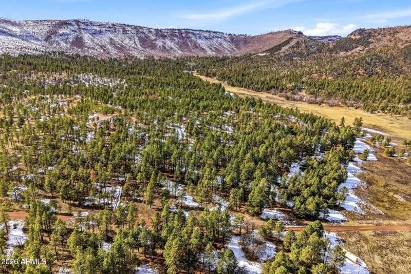 9CR2269-Nutrioso-AZ-39