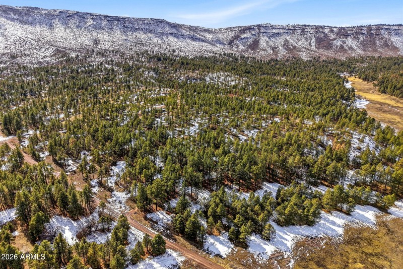 9CR2269-Nutrioso-AZ-40