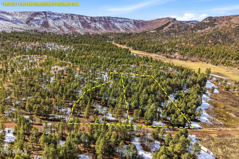 9CR2269-Nutrioso-AZ-43