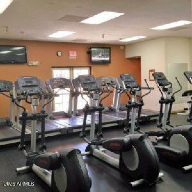 svgym