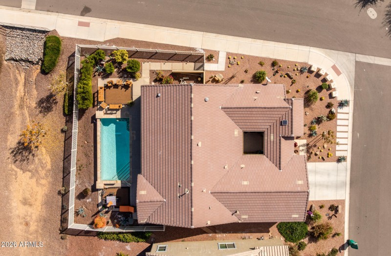 41710 Cactus Flower-0654-HDR