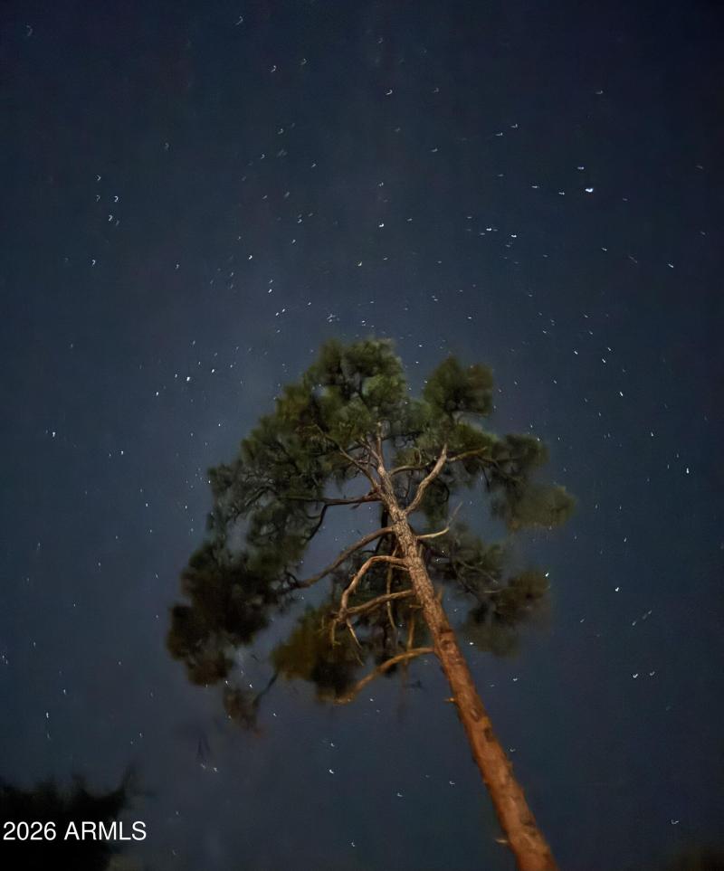 NightSky