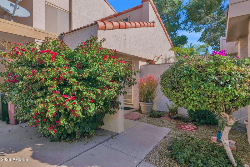31-web-or-mls-P1471048