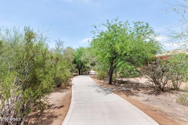 Walking Paths
