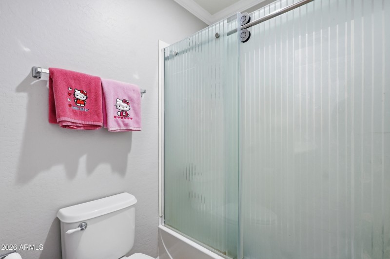 custom shower doors at hall bath