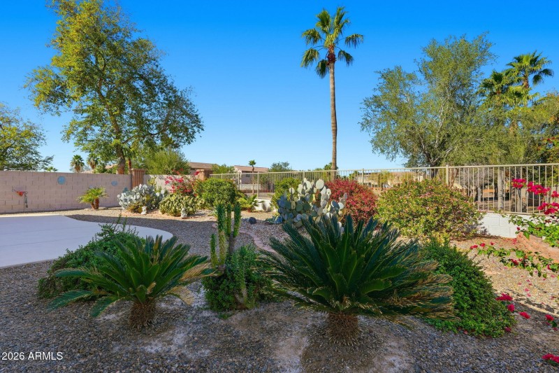 Backyard