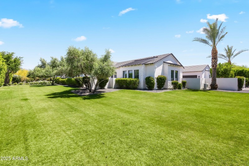 Front Yard ft. real grass