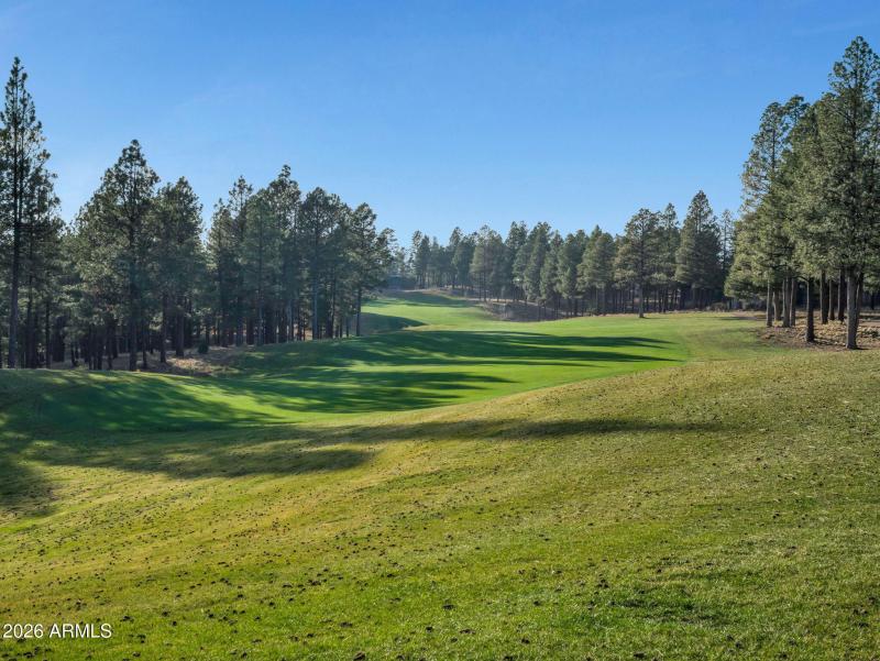 64-web-or-mls-TimberCreekImagery-64