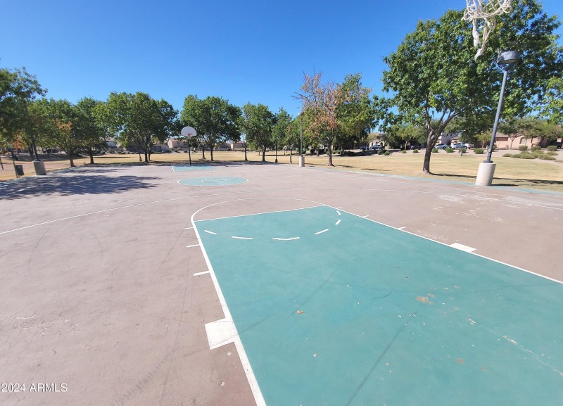 Falcon Basketball Court 1