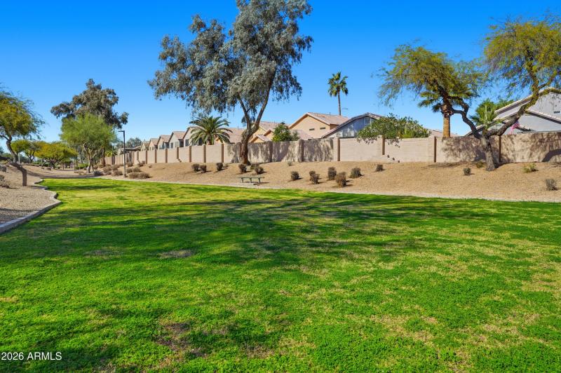 Greenbelt behind home