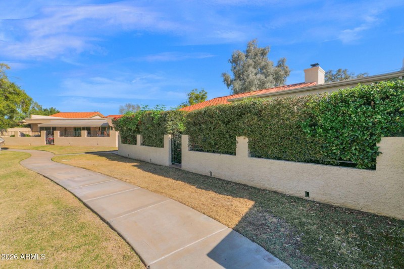 Patio Has Privacy Plants