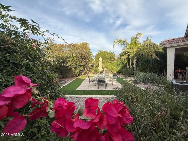Backyard 1
