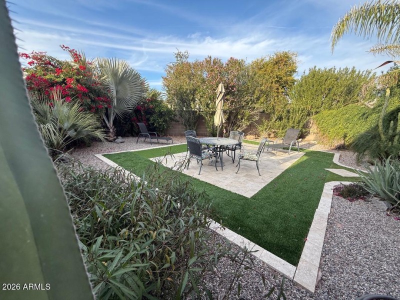 Backyard 2