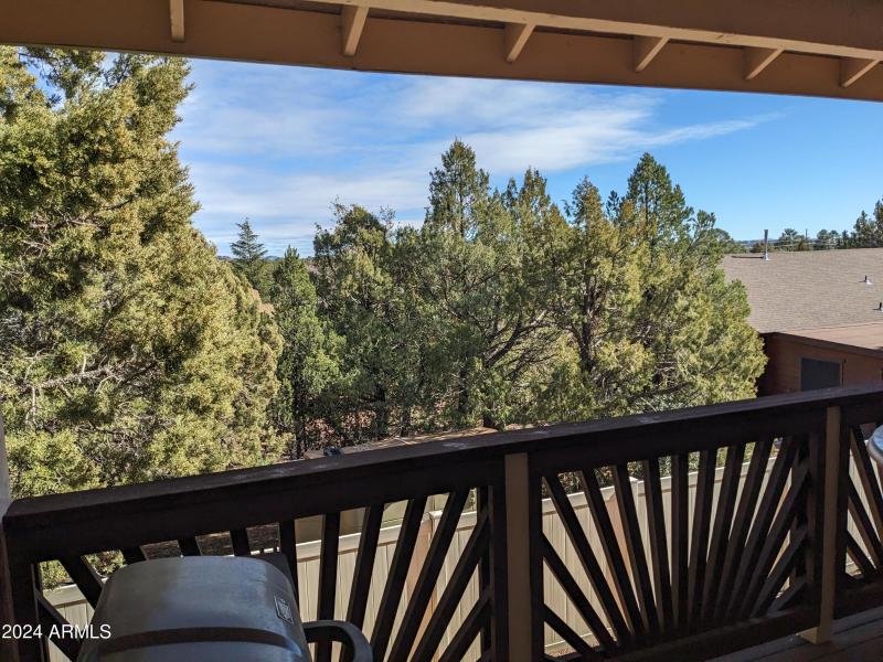 PXL_20240204_211551185