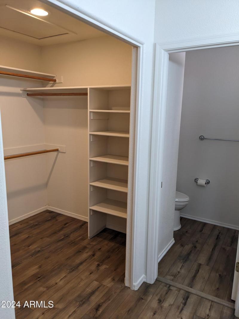 PXL_20240204_211936793