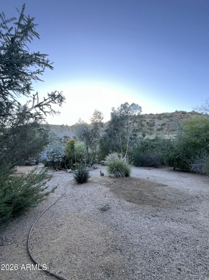 IMG_20260204_204709 (1)