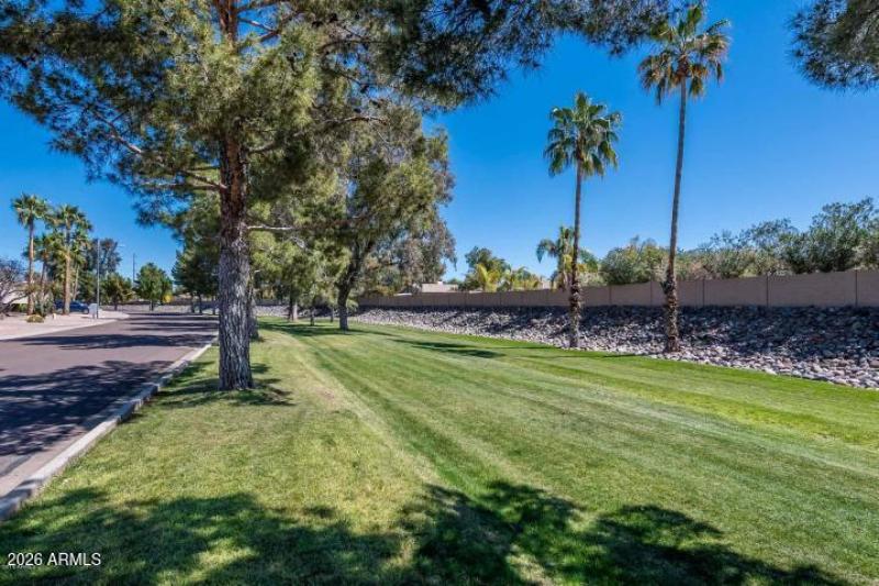 surrounding grassy area