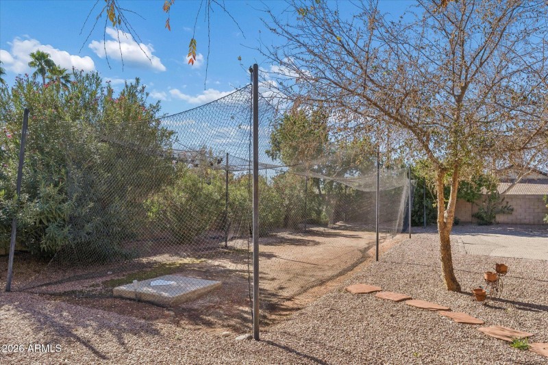 Batting/Pitching Cage