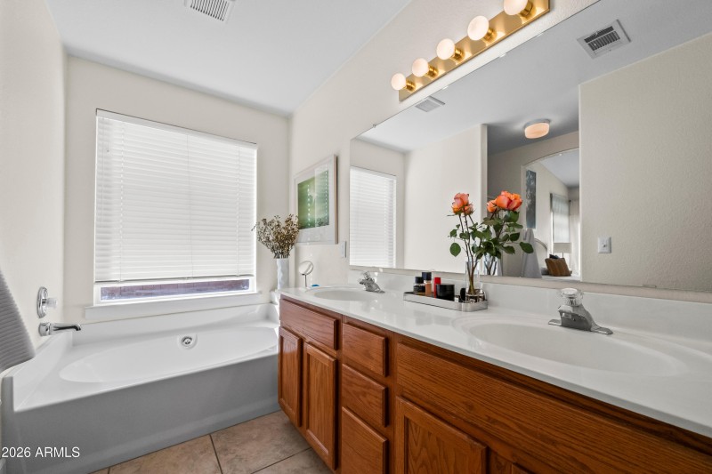Master Bath and Vanity