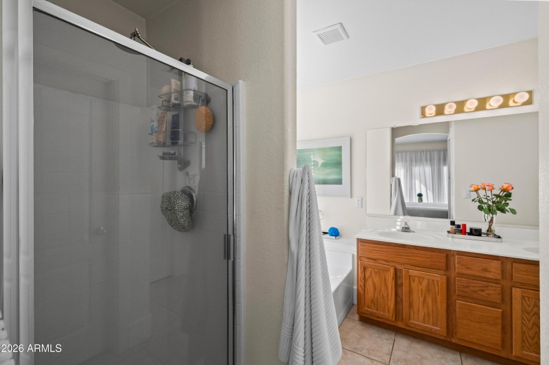 Master Shower and BAth