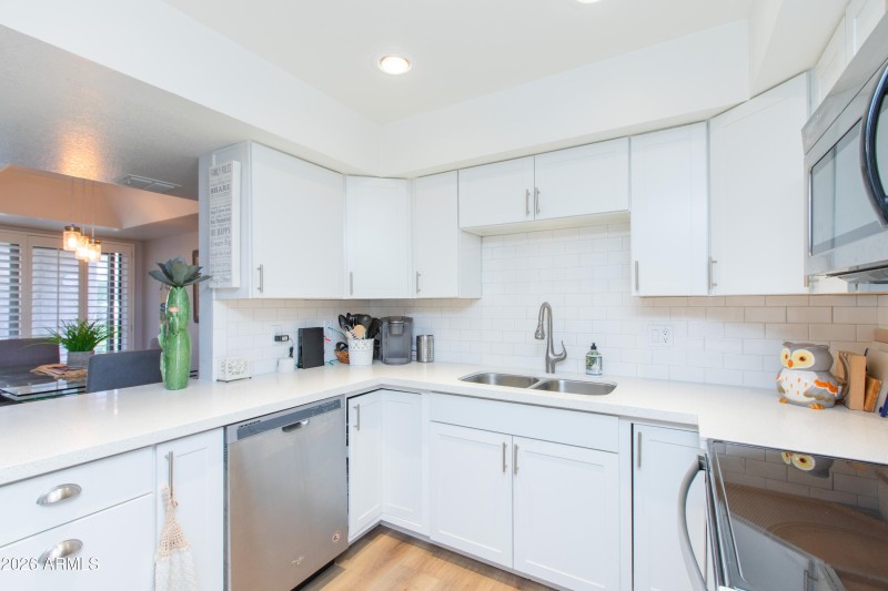 Custom Backsplash & Sink