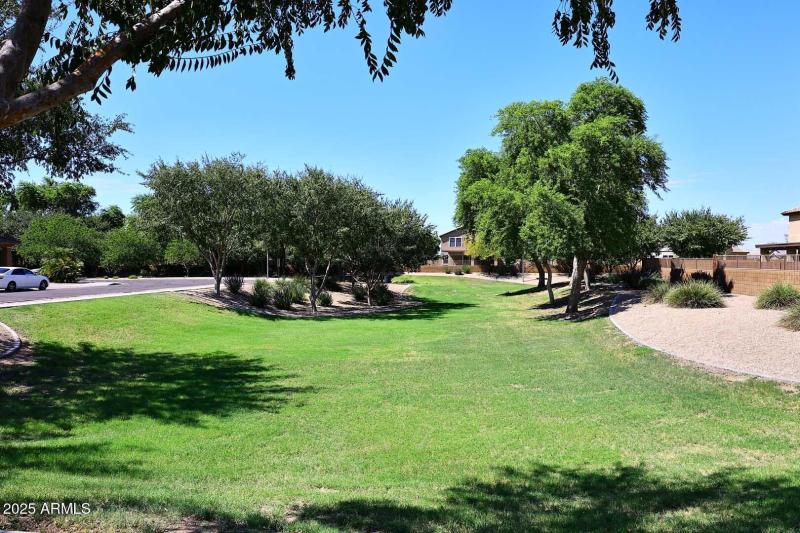 Common Area Behind Home